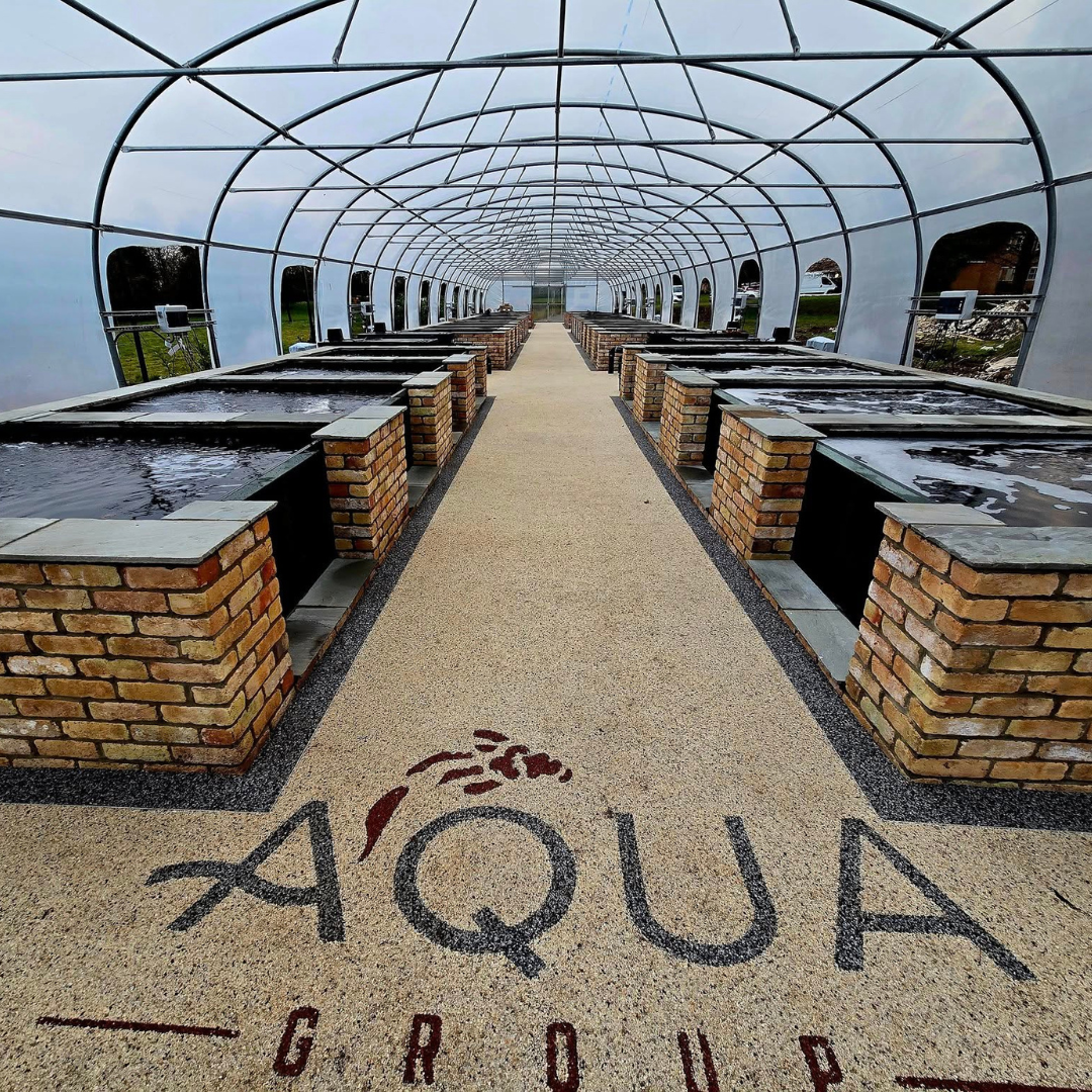 Soft Launch: New Koi Facility Opens at Brookenby Headquarters